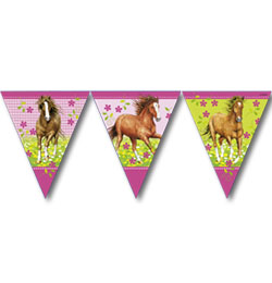 Lovas parti z�szl�f�z�r r�szletes ismertet�s�hez kattintson ide!