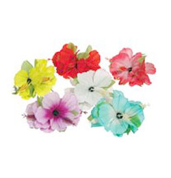 Hajcsipesz Hawaii Vir�gokkal r�szletes ismertet�s�hez kattintson ide!